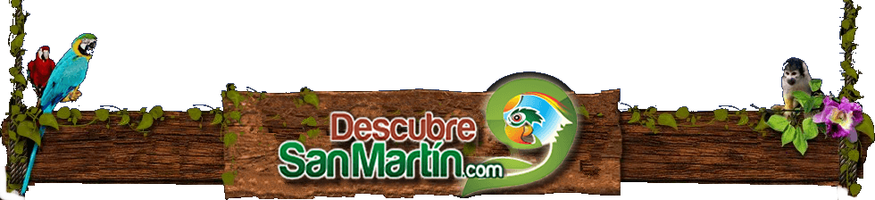 Logo Descubre San Martin